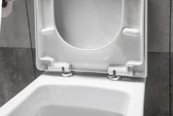 Aqualine Dona - Wc-zitting Soft Close, Wit FD121 -Geberit Winkel 023d0f74b84428ac8d7f1747