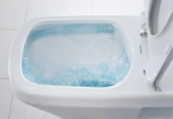 Duravit DuraStyle - Wandcloset Met SoftClose Wc Bril, Rimless, Met WonderGliss, Alpine Wit 45510900A11 16 Duravit DuraStyle - Wandcloset Met SoftClose Wc Bril, Rimless, Met WonderGliss, Alpine Wit 45510900A11 -Geberit Winkel a9da5a6fd78703973a9074cc